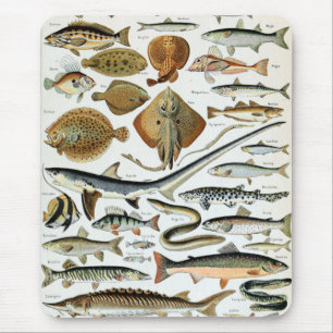 Vintage Fish of the World Mouse Mat