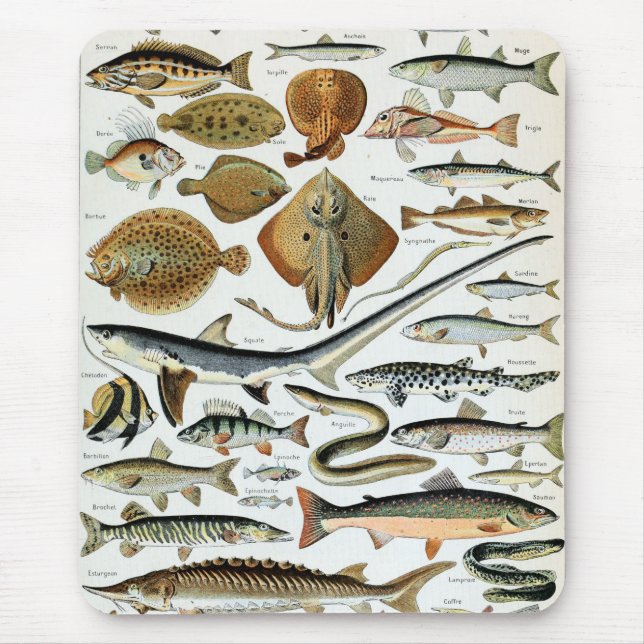 Vintage Fish of the World Mouse Mat (Front)