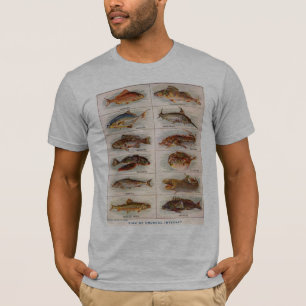 Vintage Fish of Unusual Interest Webster 1911 T-Shirt