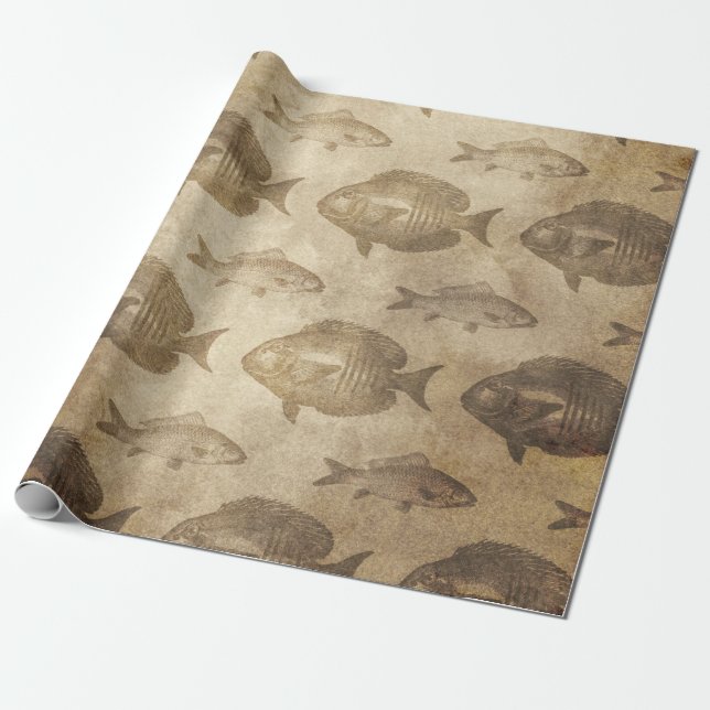 Vintage Fish on Brown Wrapping Paper (Unrolled)