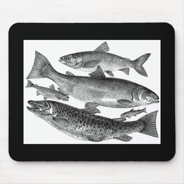 Vintage Fish Print Mouse Mat (Front)