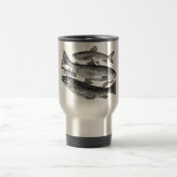 Vintage Fish Print