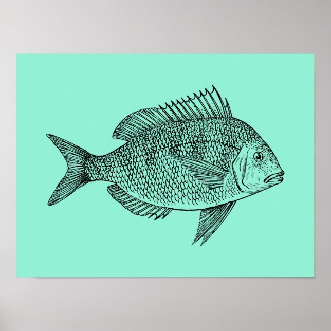 Vintage Fish science illustration Poster (Front)