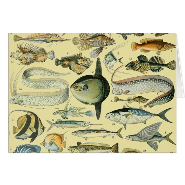 Vintage Fish Scientific Fishing Art (Front Horizontal)