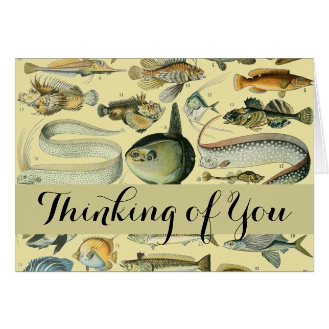 Vintage Fish Scientific Fishing Art (Front Horizontal)