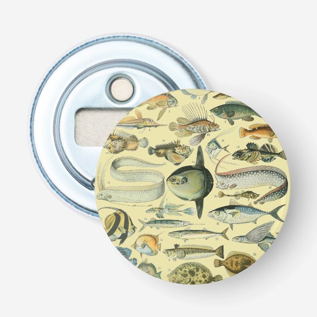 Vintage Fish Scientific Fishing Art Bottle Opener (Front)