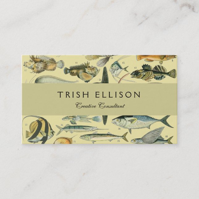 Vintage Fish Scientific Fishing Art Business Card (Front)