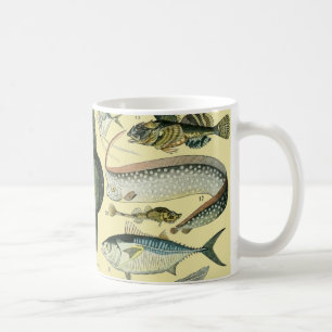 Vintage Fish Scientific Fishing Art Coffee Mug