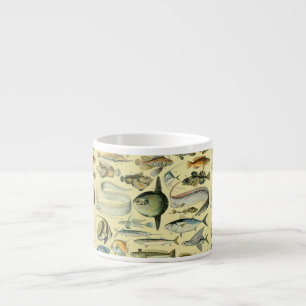 Vintage Fish Scientific Fishing Art Espresso Cup