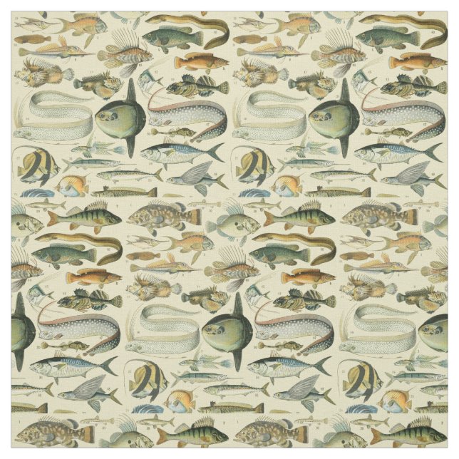 Vintage Fish Scientific Fishing Art Fabric (Swatch)