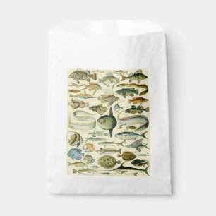 Vintage Fish Scientific Fishing Art Favour Bags