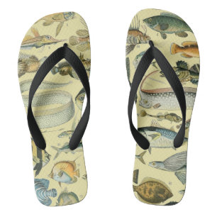 Vintage Fish Scientific Fishing Art Flip Flops