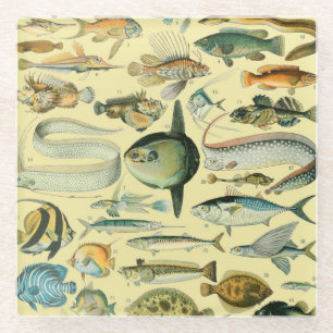 Vintage Fish Scientific Fishing Art Glass Coaster