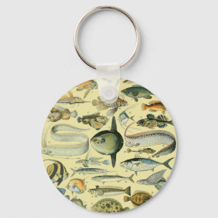 Vintage Fish Scientific Fishing Art Key Ring