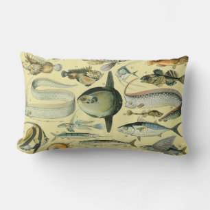 Vintage Fish Scientific Fishing Art Lumbar Cushion