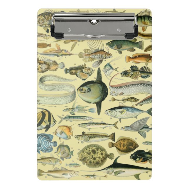 Vintage Fish Scientific Fishing Art Mini Clipboard (Front)