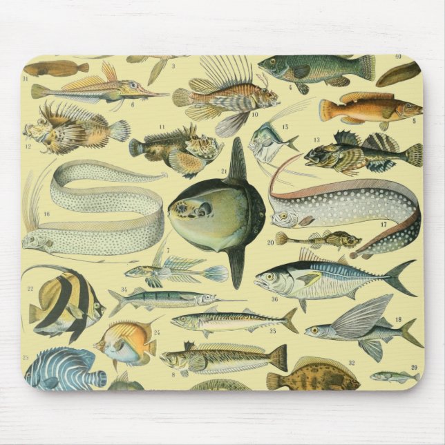 Vintage Fish Scientific Fishing Art Mouse Mat (Front)