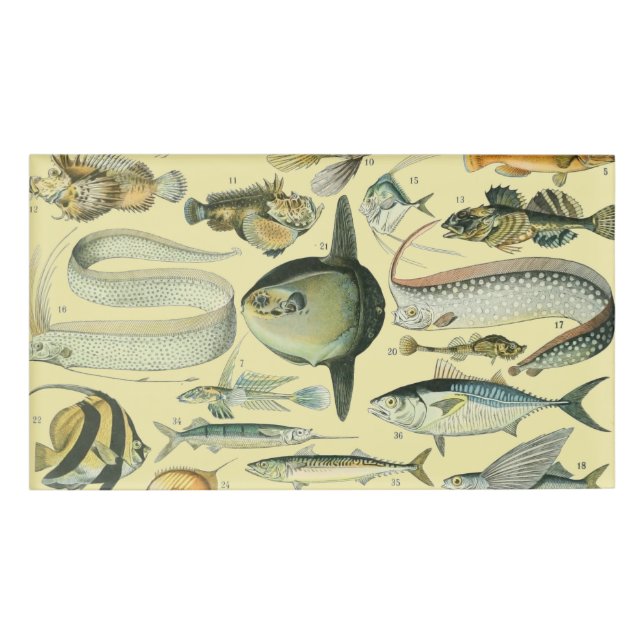 Vintage Fish Scientific Fishing Art Name Tag (Front)