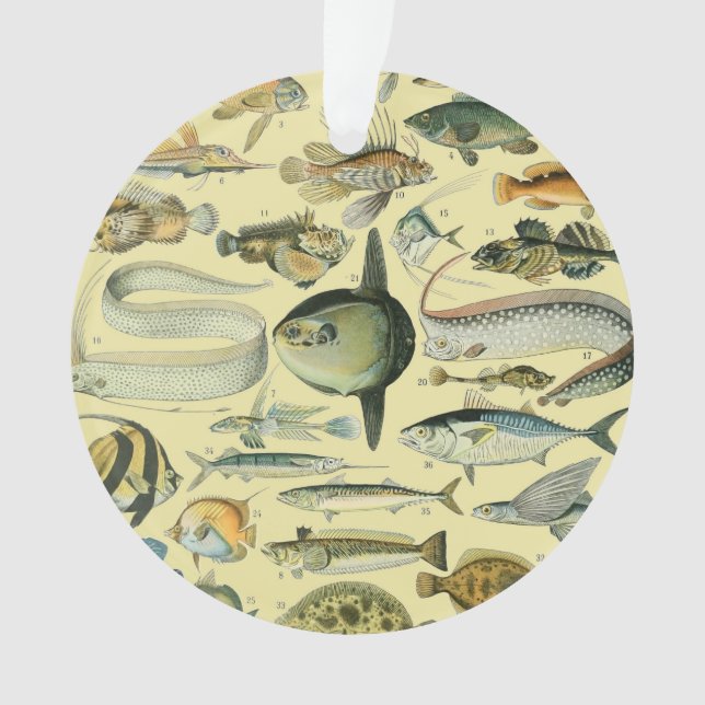 Vintage Fish Scientific Fishing Art Ornament (Front)