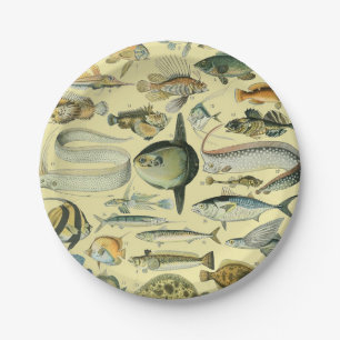 Vintage Fish Scientific Fishing Art Paper Plate