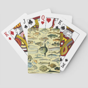 Vintage Fish Scientific Fishing Art Playing Cards