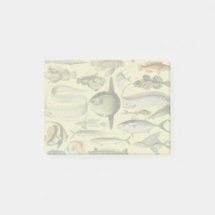 Vintage Fish Scientific Fishing Art Post-it Notes