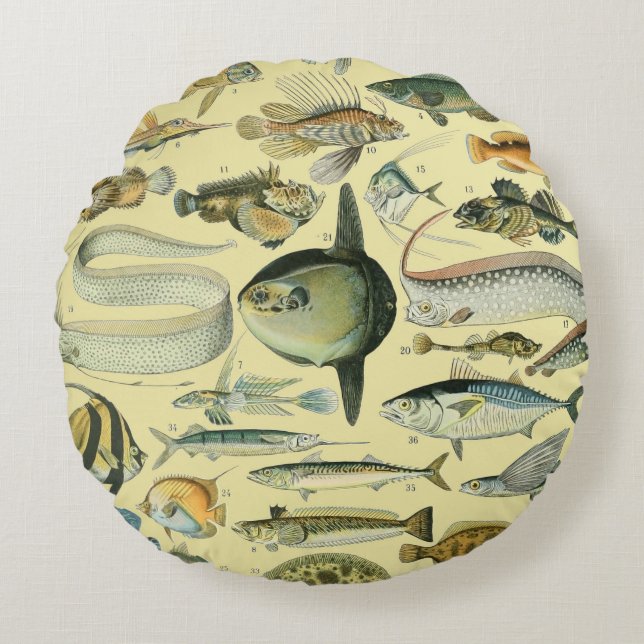 Vintage Fish Scientific Fishing Art Round Cushion (Front)