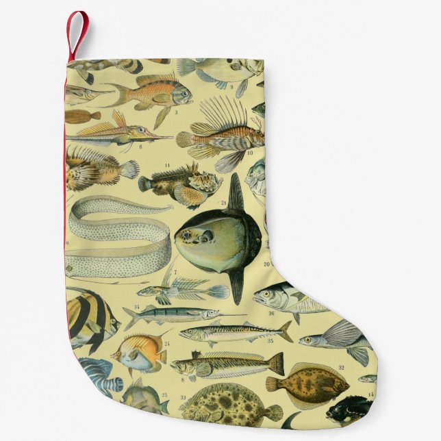 Vintage Fish Scientific Fishing Art Small Christmas Stocking (Front)