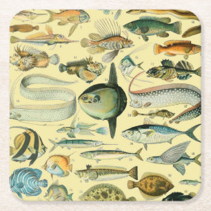 Vintage Fish Scientific Fishing Art Square Paper Coaster