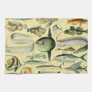Vintage Fish Scientific Fishing Art Tea Towel