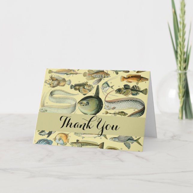 Vintage Fish Scientific Fishing Art Thank You Card (Front)