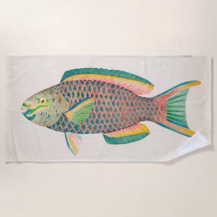 Vintage Fish Scientific Illustration  Beach Towel