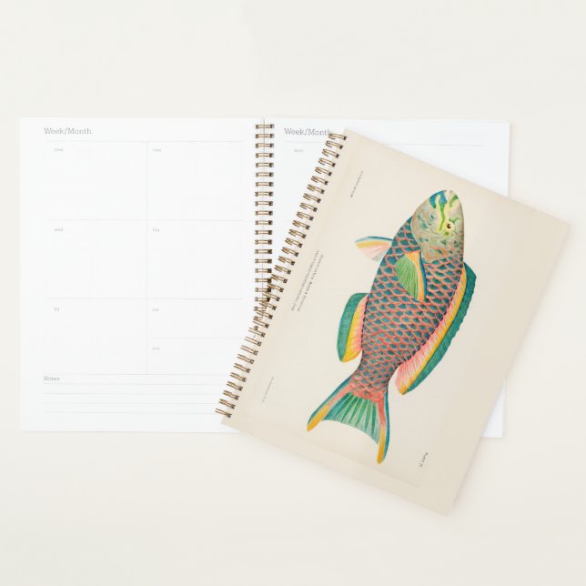 Vintage Fish Scientific Illustration  Planner (Display)