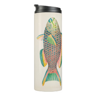 Vintage Fish Scientific Illustration  Thermal Tumbler