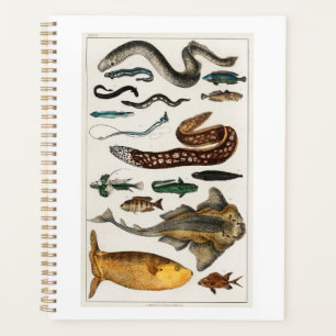 Vintage Fish Sea Ocean, beach, blue, water  Planner