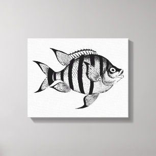 Vintage fish sealife ocean animals illustration Canvas Print
