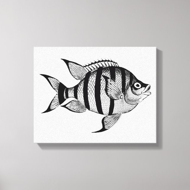  Vintage fish sealife ocean animals illustration Canvas Print (Front)