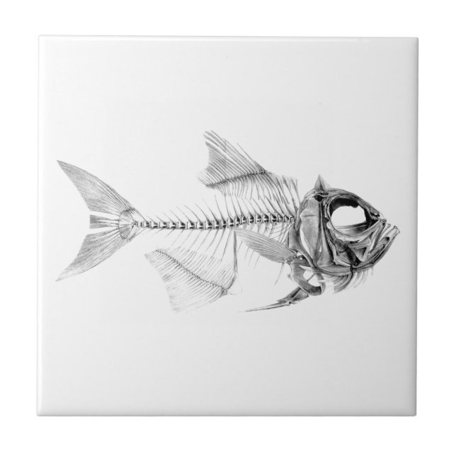 Vintage fish skeleton etching tile (Front)