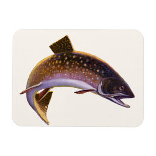 Vintage Fish, Sports Fishing Fisherman Magnet