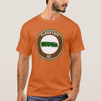 Vintage Flagstaff Arizona Oversized T-Shirt