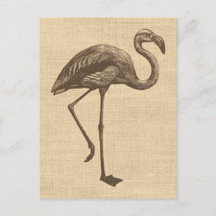 Vintage Flamingo Illustration on Burlap  Postcard