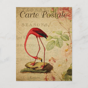 Vintage Flamingo Pink Roses Floral French Postcard