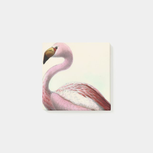 Vintage Flamingo Post-it Notes (Front)