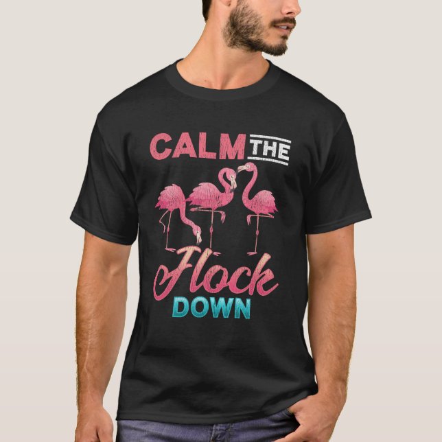 Vintage Flamingo Sarcastic Inappropriate Saying T-Shirt (Front)