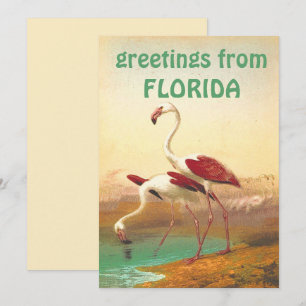 Vintage Flamingos Greetings From Florida Travel Card