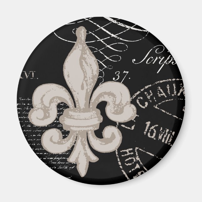 Vintage Fleur de Lis...magnet Magnet (Front)