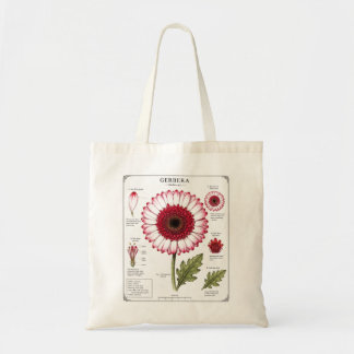 Vintage Floral Anatomy Art Tote Bag