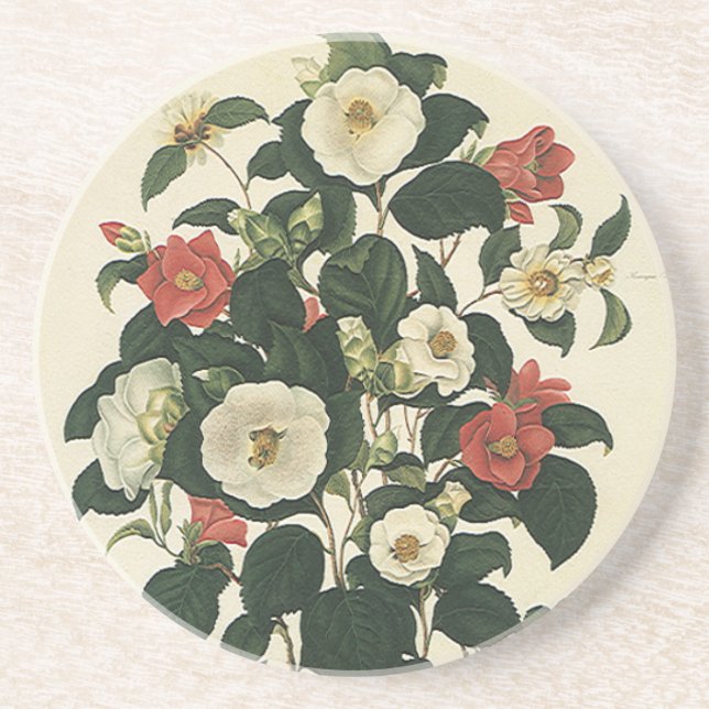 Vintage Floral, Antique Garden Roses Flowers Coaster (Front)