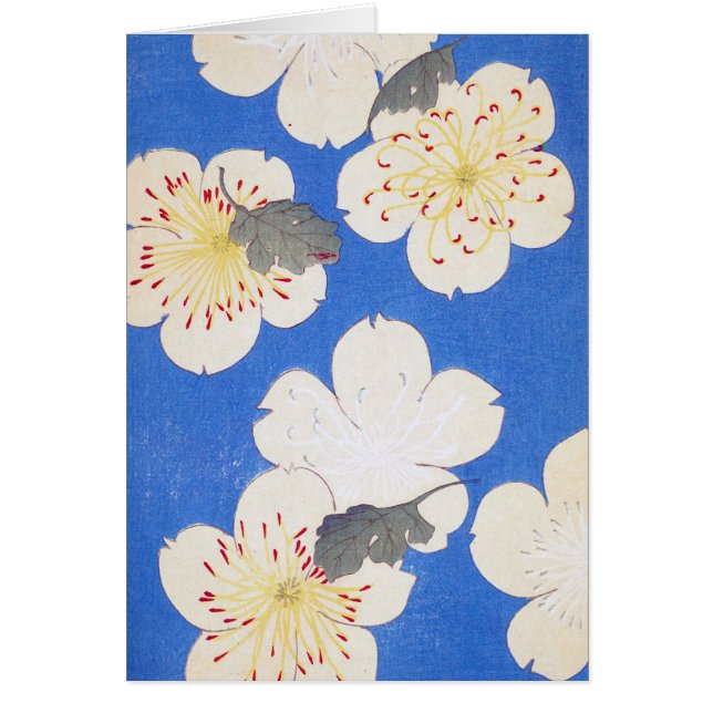 Vintage Floral Art (Front)