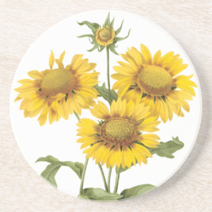 Vintage Floral Blanket Flower Sunflower by Redoute Coaster
